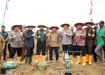 Gubernur Al Haris, Kapolda, Danrem 042 Gapu dan Forkopimda Lakukan Penanaman Bibit Jagung Dukung Swasembada Pangan