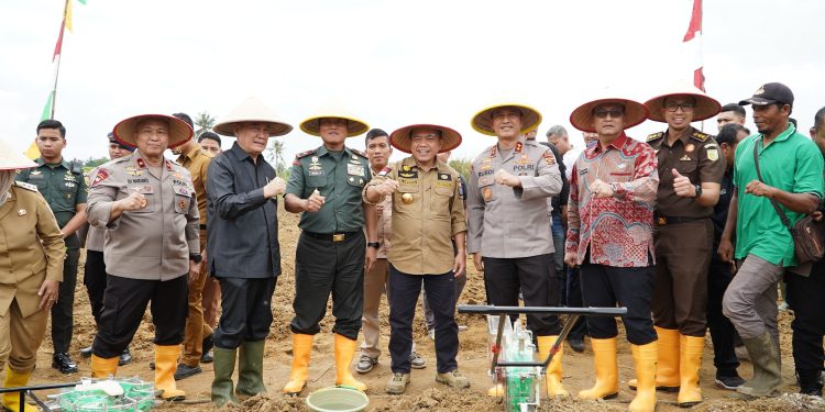 Gubernur Al Haris, Kapolda, Danrem 042 Gapu dan Forkopimda Lakukan Penanaman Bibit Jagung Dukung Swasembada Pangan