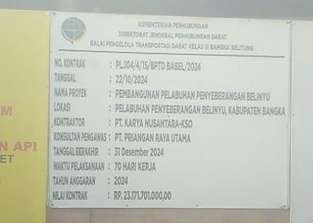 Proyek Miliaran yang Gagal Tender Hingga 2 Kali, LSM RIB akan Surati BPK RI