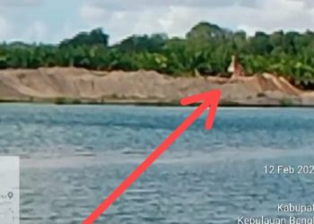 Diduga 2 Alat Berat Porandakan Kawasan Hutan Produksi di Pasir Merak Air Jukung
