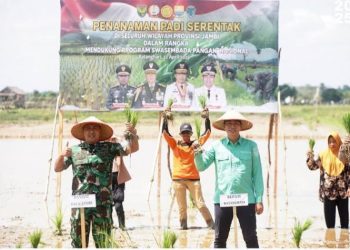 Bupati Fadhil Harap Batang Hari Jadi Tumpuan Swasembada Pangan di Provinsi Jambi