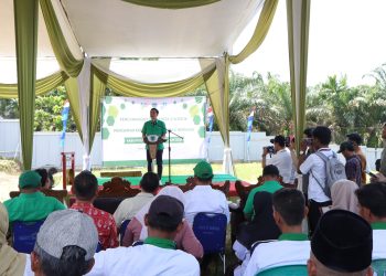 Membangun Desa dengan Data