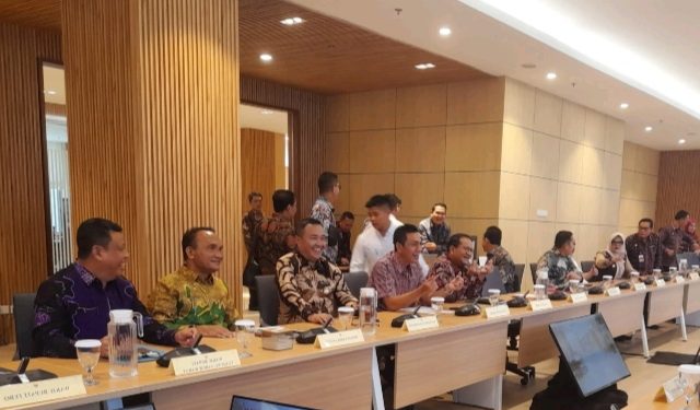 Audiensi dengan Menkes RI, Bupati Hurmin Usulkan Rumah Dinas Puskesmas Hingga Rumah Sakit Pratama di Sarolangun