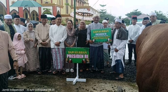 Sholat Idul Adha di Masjid As Sulthon Sarolangun, Bupati dan Wakil Bupati Menyerahkan Sapi Bantuan Presiden Prabowo