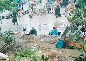 Harga Timah Naik, Tambang Ilegal Menggila!, Polres Bangka Diminta Bertindak di Pertambangan Ilegal Dekat Puri Ansel