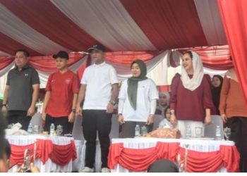 Pawai Karnaval Meriahkan HUT Kemerdekaan RI ke-80 Di Kota Sarolangun