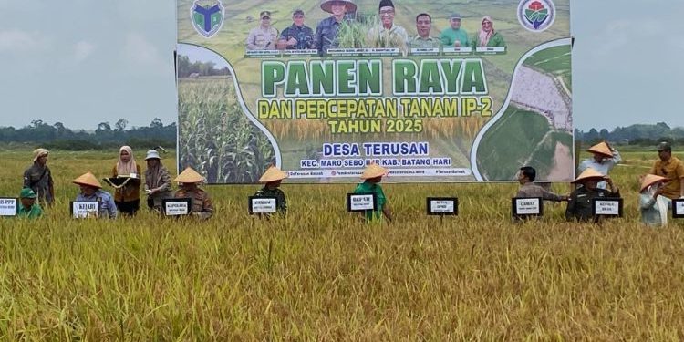 Panen Raya, Fadhil Arief Dorong Kesejahteraan Petani Lewat IP-2