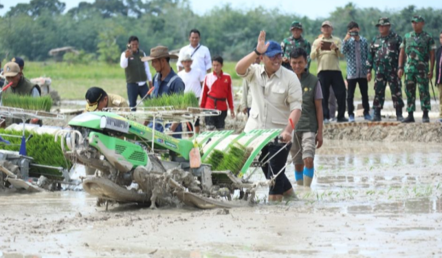 Wujudkan Surplus Pangan, Pemkab Batang Hari Usulkan Alsintan ke Kementan RI