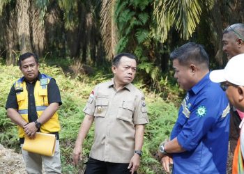 Kadis PUPR Jambi Dampingi Gubernur Al Haris Tinjau Pekerjaan Pelebaran Jalan Ness