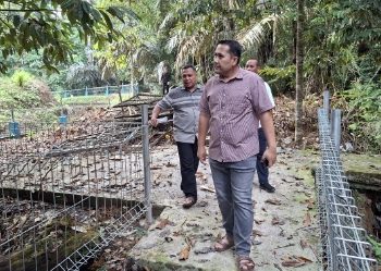 Fasilitas dan Penghuni Baru Arboretum Siap Manjakan Pengunjung, Bupati M. Syukur Tinjau Progres Perbaikan