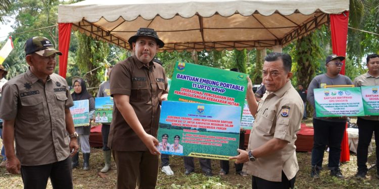 Luas Tanam Sawah di Merangin Naik 11 Persen, Bupati M. Syukur Pacu Bantuan Alsintan dan Infrastruktur