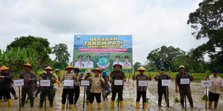 Bupati M. Syukur Dampingi Gubernur Al Haris Tanam Padi dan Salurkan Bantuan BiosCF ISFL di Desa Seling