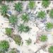 Tambang Ilegal di Kawasan Hutan Produksi Desa Bencah Kian Marak, DLHK Babel Dipertanyakan