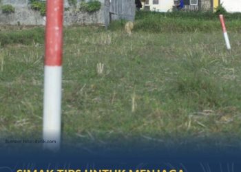 Kementerian ATR/BPN Minta Masyarakat Proaktif Menjaga Tanah agar Tidak Diserobot Orang Lain