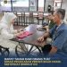 Kementerian ATR/BPN : Dapat Tanah dari Orang Tua? Simak Penjelasan Proses Balik Nama Sertipikat Berikut Ini 
