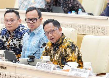Optimalkan Pelayanan Publik, Mendagri Tekankan Pentingnya Penguatan Kapasitas dan Dukungan terhadap Kepala Daerah 