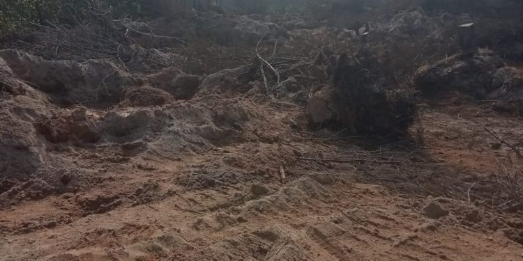 Lapor Pak Kapolres! Hutan Lindung Pantai Batu Ampar Diduga Dihajar Tambang Timah Ilegal