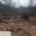 Lapor Pak Kapolres! Hutan Lindung Pantai Batu Ampar Diduga Dihajar Tambang Timah Ilegal